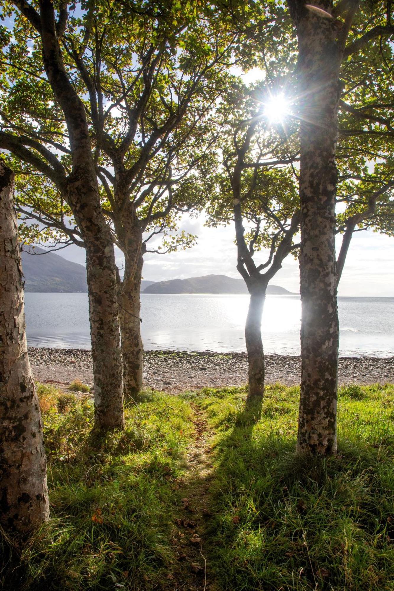 Ash, Birch And Rowan Self Catering Cabins أونيك المظهر الخارجي الصورة